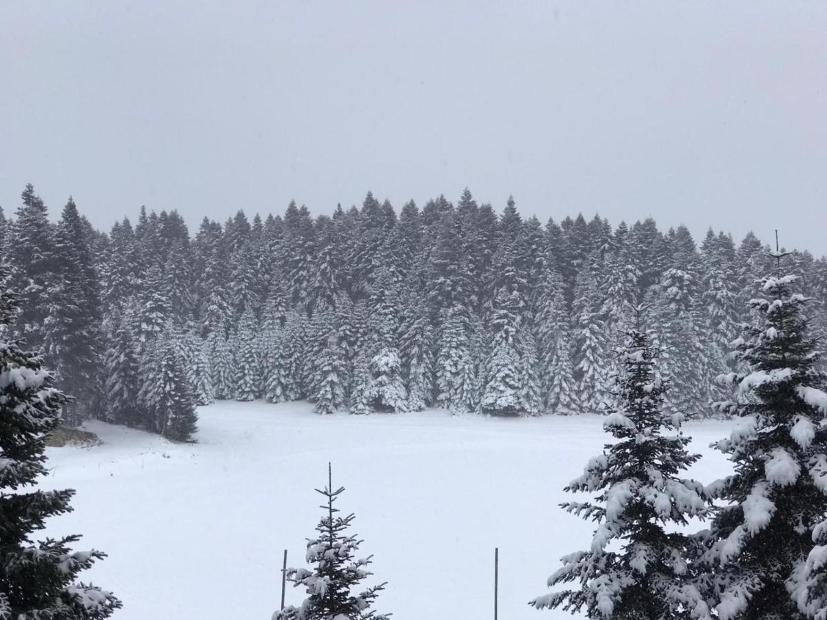 Elifim Resort Hotel Bolu Luaran gambar