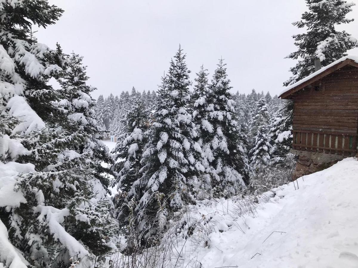 Elifim Resort Hotel Bolu Luaran gambar
